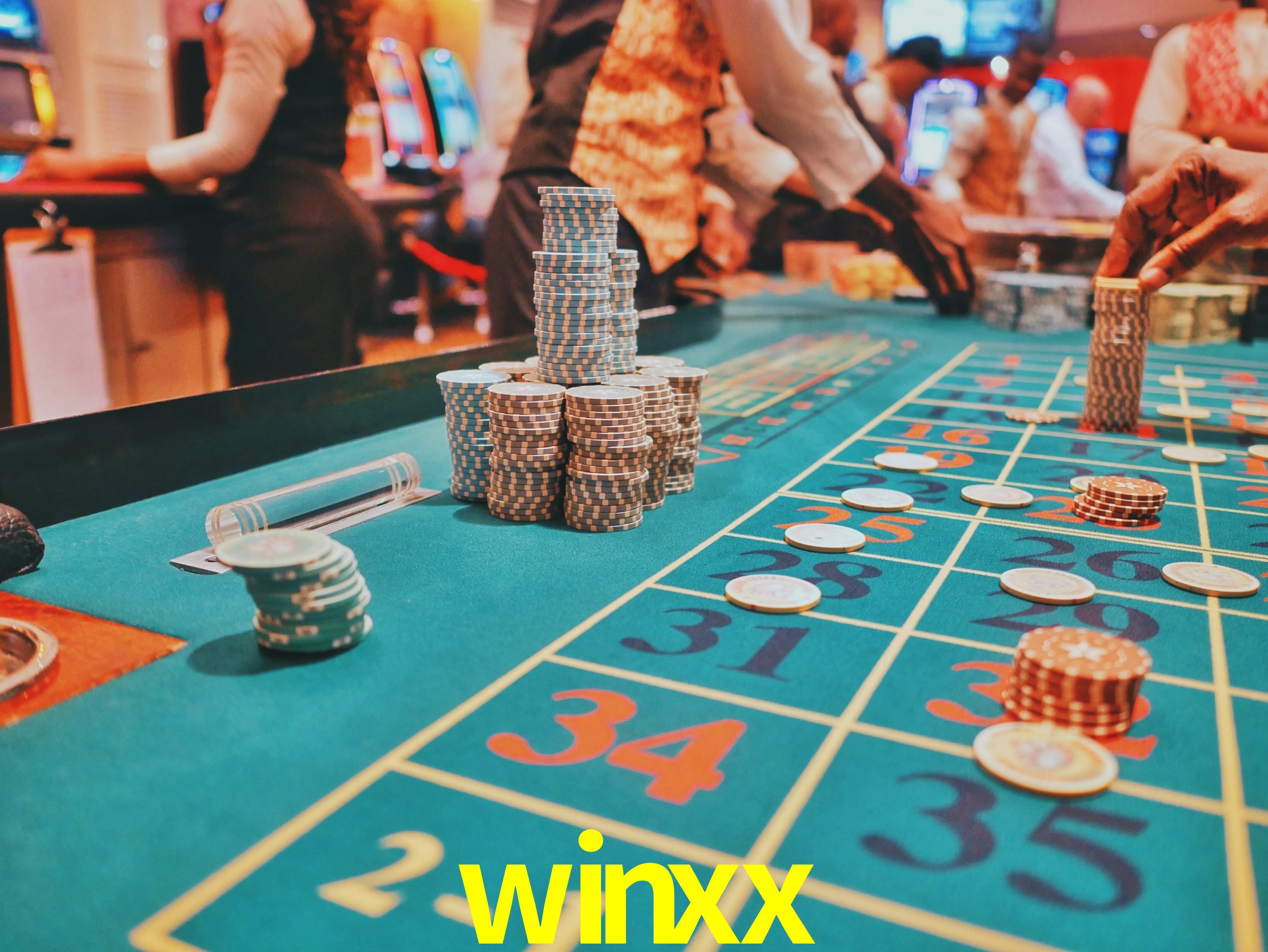 Sports Statistics winxx